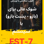 برنامه FST7 بازو و پشت بازو A3